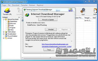 Internet Download Manager 6.15 Build 15 Final Full Patch  2013