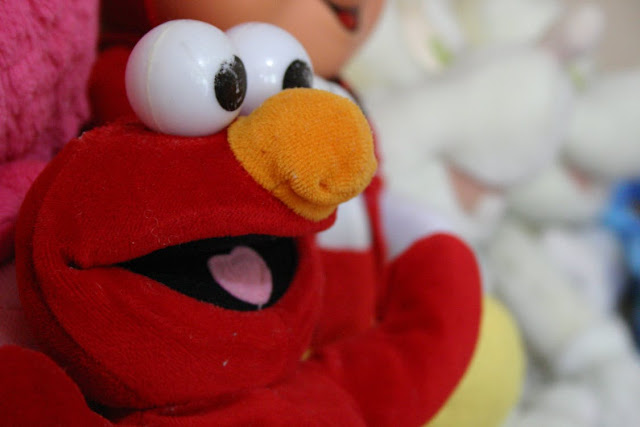 Image: Elmo, by Richarles Moral on Pexels