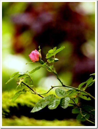 18 July 12