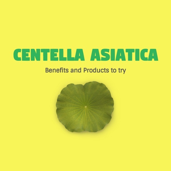 CENTELLA ASIATICA: Ingredient of the week + Skin Care Benefits and Recommended Products