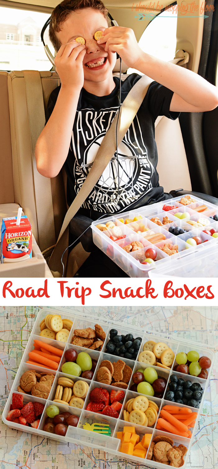Summer Road Trip Lunch Boxes and Snack Packs