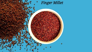 Finger Millet