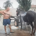 Autómosóban csutakolta le a lovát egy román - teljes mosóprogramot lefutatta