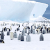 Ανταρκτική: Εντοπίστηκαν τέσσερις νέες ομάδες αυτοκρατορικών πιγκουίνων