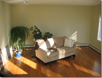 Livingroom Before