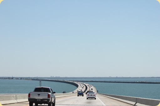 St. Petersburg, FL 037