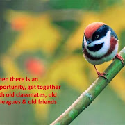 THIS IS SO BEAUTIFUL AND TRUE.......