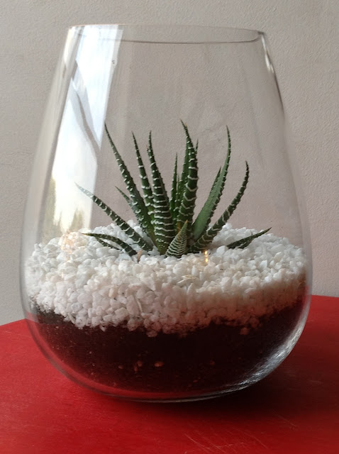 DIY easy and simple terrarium