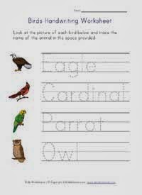 http://www.allkidsnetwork.com/worksheets/animals/birds/