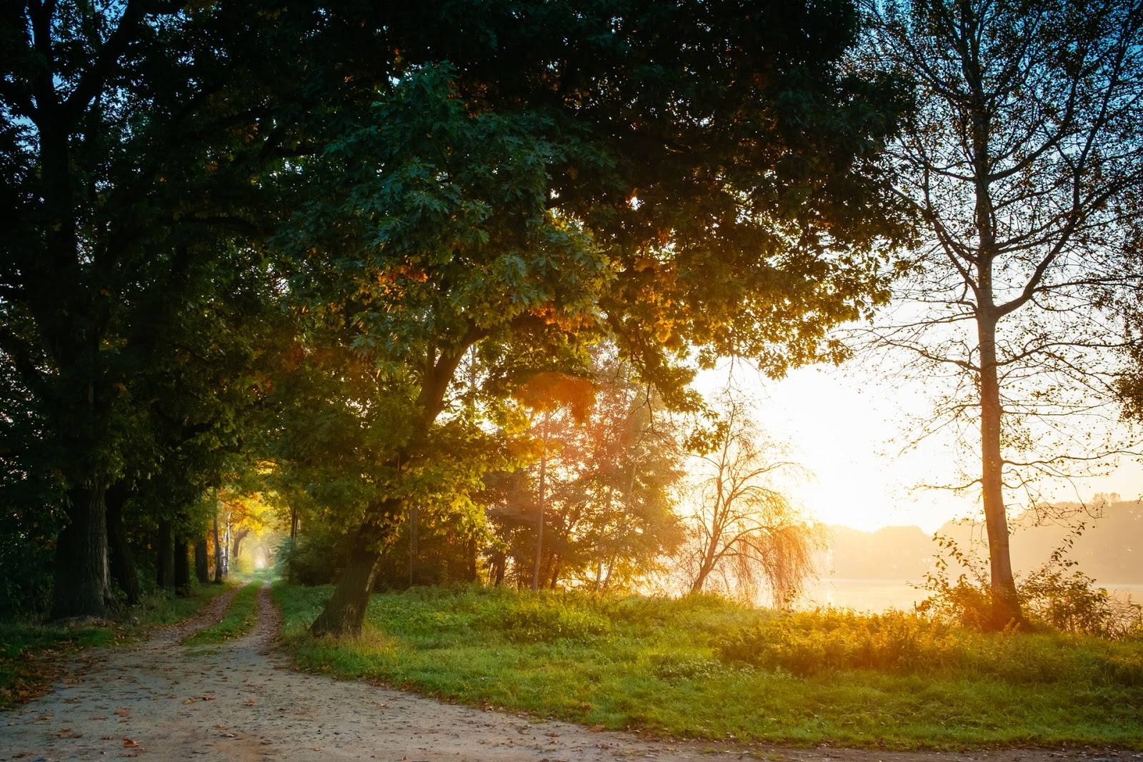 34+ Galeri Gambar Alam Di Pagi Hari