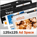 Premium WordPress Themes