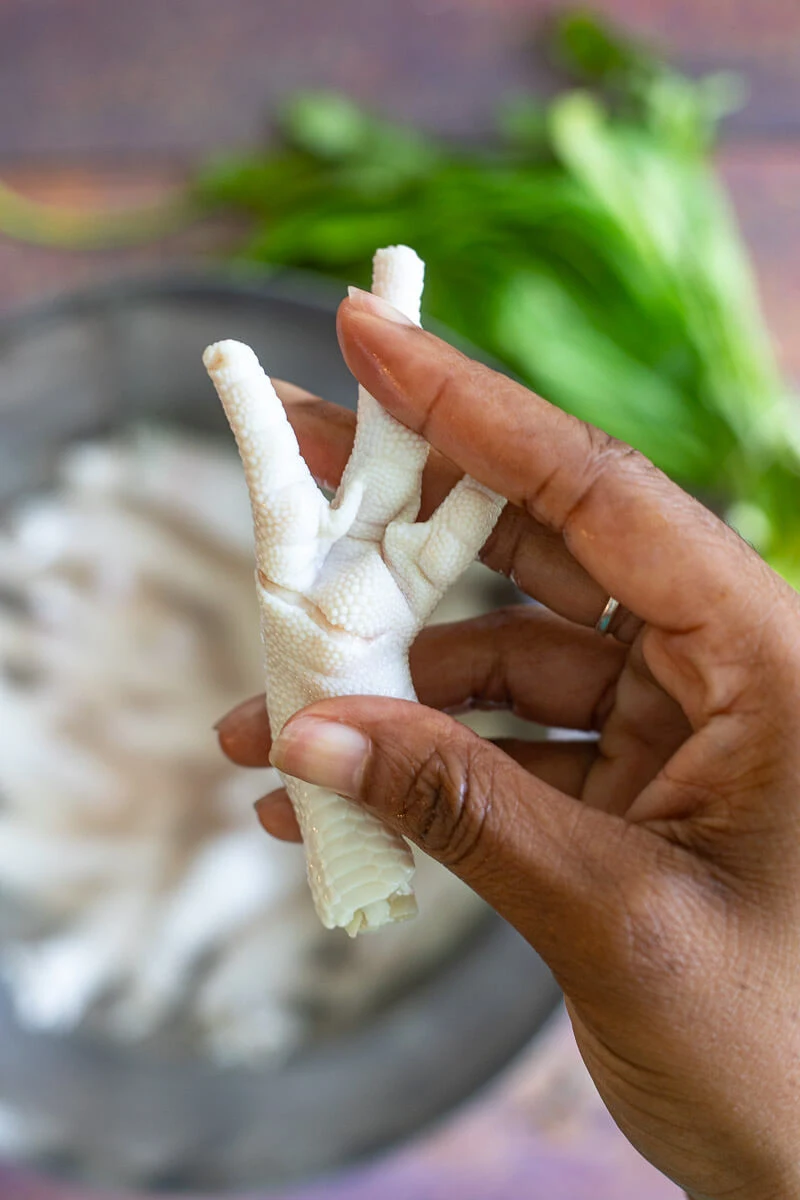 A picture of a chicken foot, showing the cuts to be made on the leg.