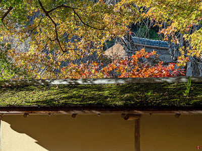 Autumn leaves: Engaku-ji