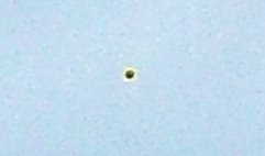 Ufos Videos 6
