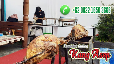 Kambing Guling Muda Empuk Garut, Kambing Guling Garut, Kambing Guling, Kambing Guling Muda Garut, Kambing Guling Garut,
