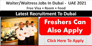 Waiter/Waitress and Bartender Recruitment in Dubai | For Livit Hospitality Management