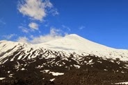 IMG_0531