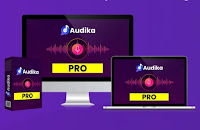 Audika Pro Premium information