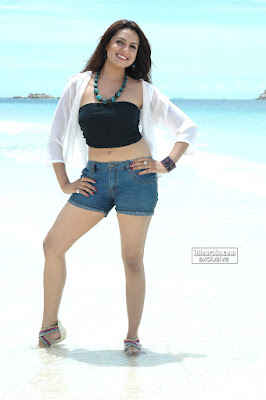 DESI MASALA HOT Pics of TELUGU HOT ACTRESS ADITI AGARWAL