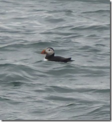wales beumaris 033