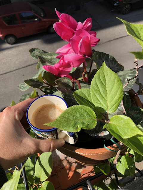 Caffè tra i fiori 