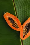 Health Benefits of Eating Papaya