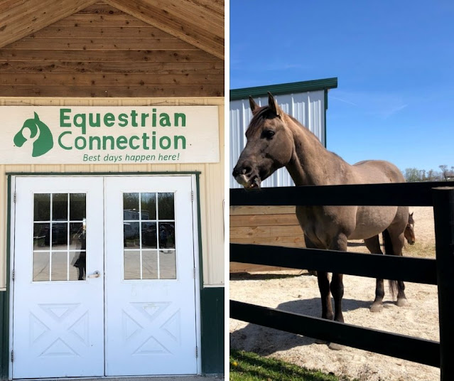 "Best Days Happen Here" Learn about the Fantastic Work At Equestrian Connection in Lake Forest, Illinois