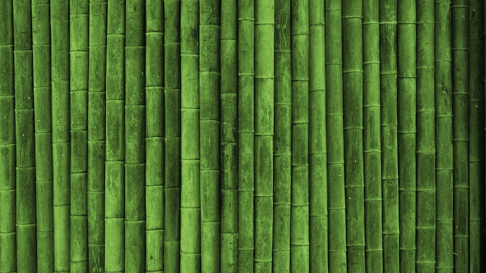 Green Bamboo