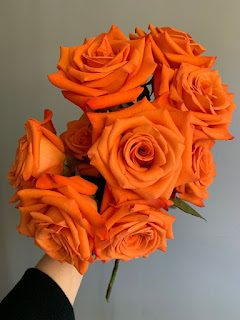 Shades Of Orange Roses And Their Meanings