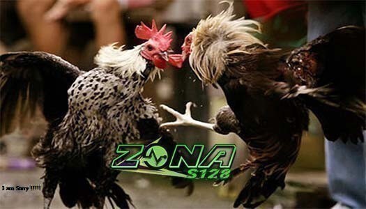 Jenis Taruhan Sabung Ayam Online Sv388 Terpercaya Zg7