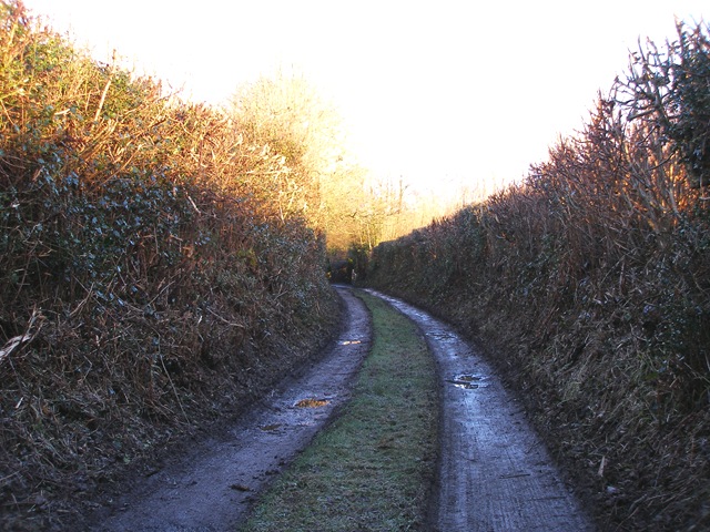 16th_february_2010