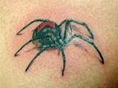 Spider Tattoos Design