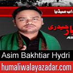 https://humaliwalaazadar.blogspot.com/2019/08/asim-bakhtiar-hydri-nohay-2020.html