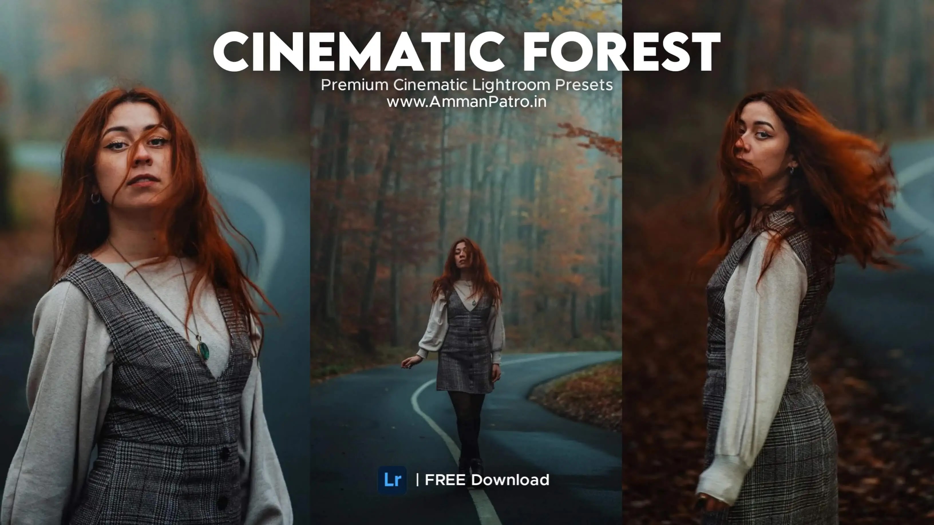 Cinematic Forest Lightroom Presets FREE Download, Cinematic Forest FREE Lightroom Presets, Free Lightroom presets, Presets For Lightroom, Free Presets, Amman Presets, Amman Lightroom Filters, Aman Patro Presets, Amman Patro Lightroom Presets