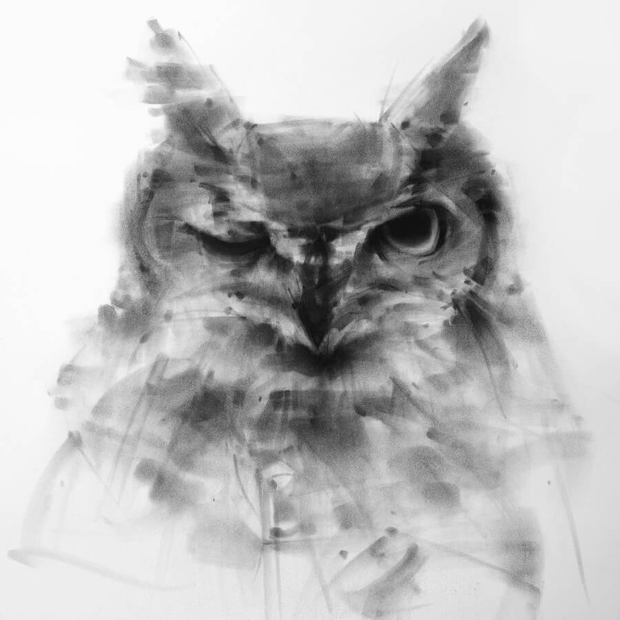 08-Winking-owl-Charcoal-Drawings-Tianyin-Wang-www-designstack-co