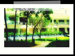 Ayala Terraces Pathway
