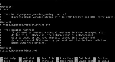 Proxy Debian Squeeze