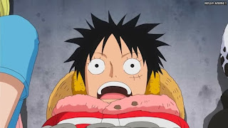 ワンピースアニメ パンクハザード編 600話 ルフィ Monkey D. Luffy | ONE PIECE Episode 600