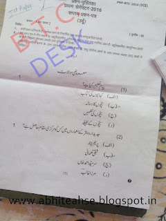 previous year Paper urdu