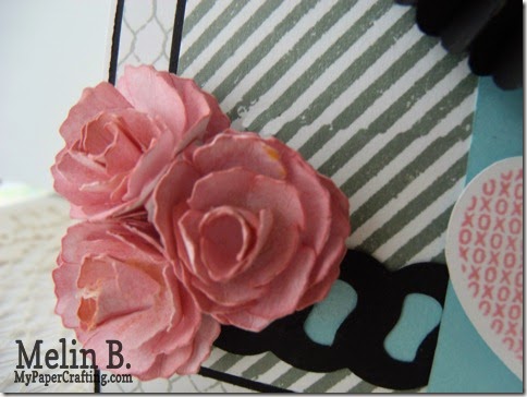 flower closeup-480