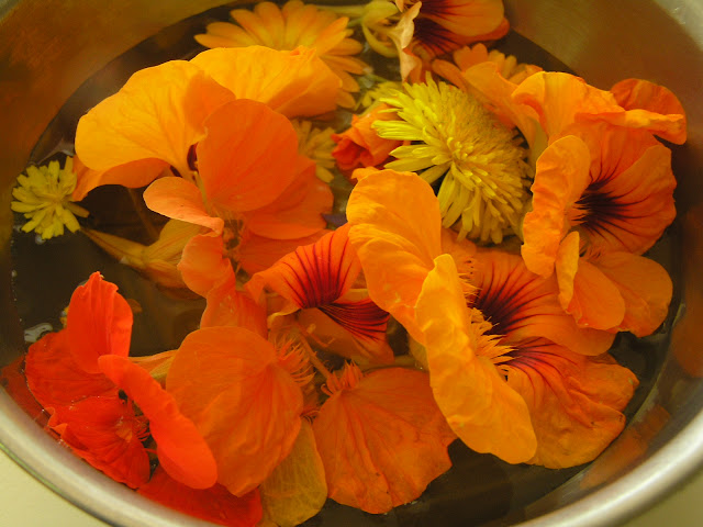 edible flowers