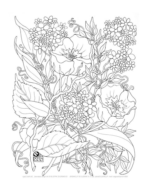 Free Printable Coloring Pages Adults Only  Az Coloring Pages