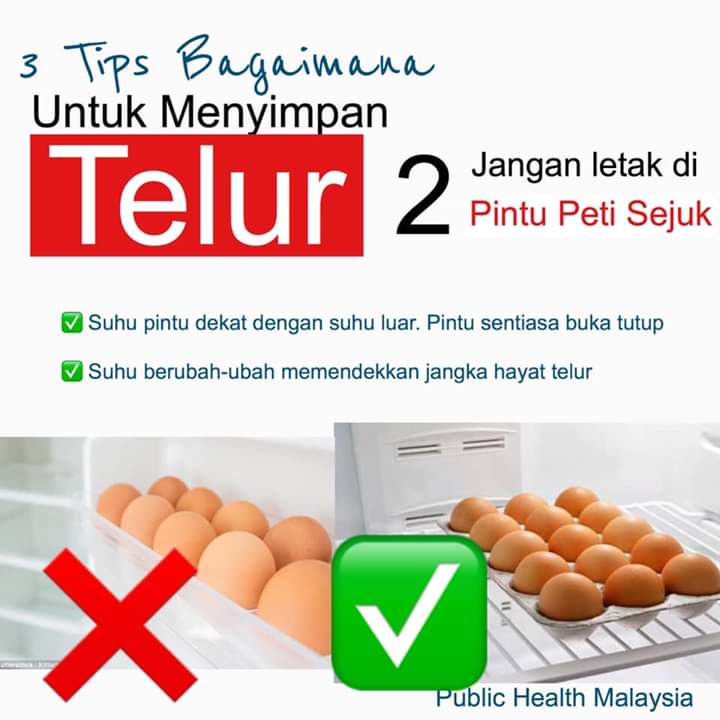 3 Cara Yang BETUL Simpan Telur