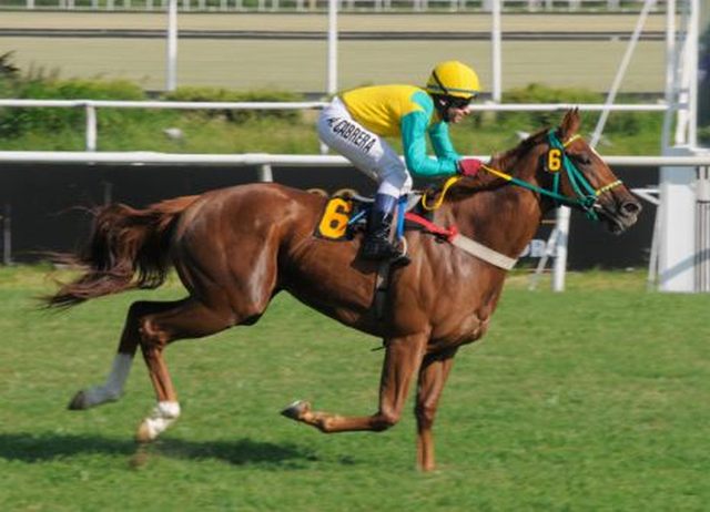 Curitiba Nistel Van Nistelrooy Palermo