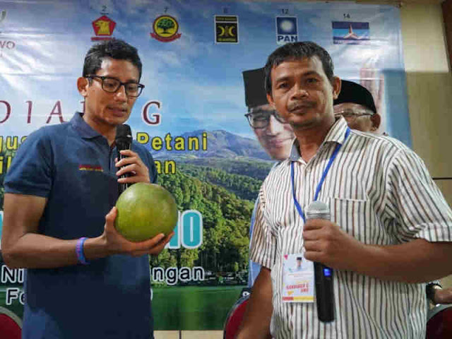 Petani Pomelo di Magetan Berharap Sandiaga Uno Perhatikan Potensi Perkebunan