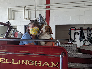 Town Councilor Melanie Hamblen in the 1949 LaFrance fire truck when received back from Bellingham