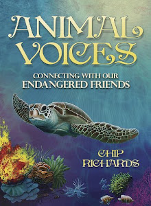 Animal Voices Oracle: Connecting With Our Endangered Friends