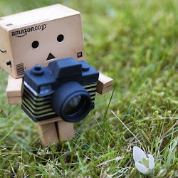 Foto Danbo @ digaleri.com