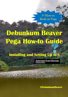 Debunkum Beaver How-to Guide: Installing and Testing AES