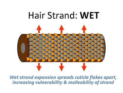 StrandWet
